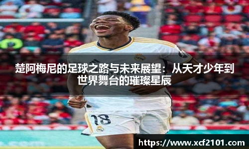 jn体育官网